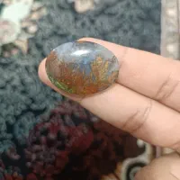 سنگ عقیق شجر منظره ای