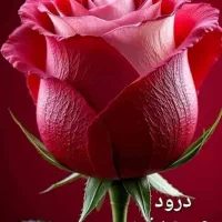 کارمیخوای توی خونه انجام بشه|استخدام درمانی، زیبایی، بهداشتی|شیروان (خراسان), |دیوار