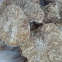کمای بویه