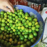 ابلیمو ابغوره خالص و طبیعی  رب گوجه عمده|خوردنی و آشامیدنی|کرج, مهرویلا جنوبی|دیوار