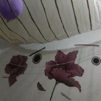 اتاق مبله|اجارهٔ کوتاهمدت آپارتمان و سوئیت|شیراز, لب آب|دیوار