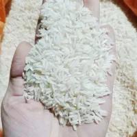 برنج طارم هاشمی درجه A++++