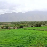 فروش1000متر-زمین-کشاورزی