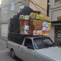 خرید سبد میوه ،کارتن موز و ضایعات در محل