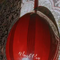 عود مصری 2022|سازهای سنتی|بندرعباس, |دیوار