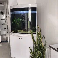 اکواریم لوکس برای منزل