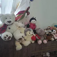 انواع عروسک تدی|اسباب‌‌بازی|مشهد, تربیت (صدف)|دیوار