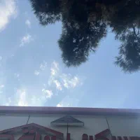 کلنگی تهرانپارس ۲۸۰متری