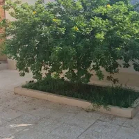 ویلایی-220متری-مجاهد-یاور-11