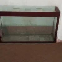 آکواریوم بزرگ