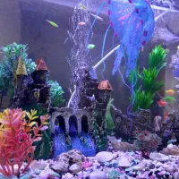 اکواریوم باماهی و تزئینات|ماهی|رشت, جماران|دیوار