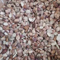 لوبیا چیتی شکسته|خوردنی و آشامیدنی|قم, انسجام|دیوار