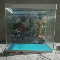 اکواریم