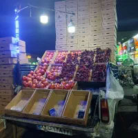 عرضه کننده بهترین انار ایران|خوردنی و آشامیدنی|تهران, مسعودیه|دیوار