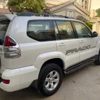 پرادو کلکسیونی فلاپ بی رنگ
