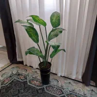 حراج لوازم منزل