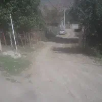 فروش زمین|فروش زمین و ملک کلنگی|توتکابن, |دیوار