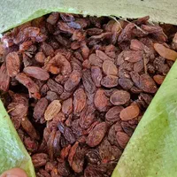 کشمش آفتابی درجه یکه خشکه کیسه سبز خدادادی