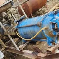 مارگو،پرکنز