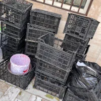 سبد میوه|ظروف نگهدارنده، پلاستیکی، یک‌بارمصرف|دماوند, گیلاوند|دیوار