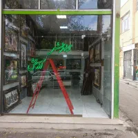 مژده با مژده حراجی تابلوفرش