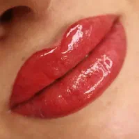 تخفیف بی نظیر شیدینگ لب|خدمات آرایشگری و زیبایی|شیراز, ملاصدرا|دیوار