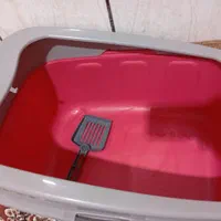 باکس گربه