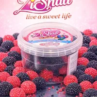 پذیرش نماینده وفروش