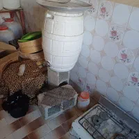 کندو زنبور عسل با قاب|حیوانات مزرعه|قیروکارزین, |دیوار