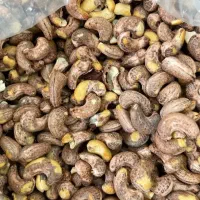 بادم هندی کبابی و گ ر دو|خوردنی و آشامیدنی|اهواز, کوی علوی|دیوار