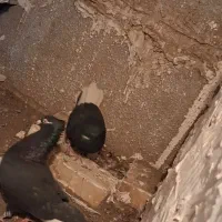 جفت زاغ دم سفید عطیقه