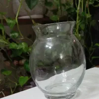 تنگ کریستال شفاف فرانسه