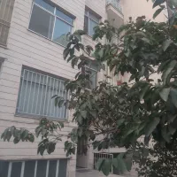 رهن و مسکونی واقع حاجی پور