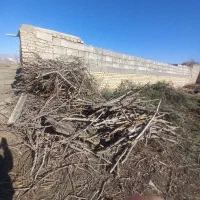 چوب خشک برای انواع استفاده