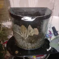 آکواریوم شیشه خم