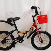 دوعدد دوچرخه ۱۶ برا دوقلوها