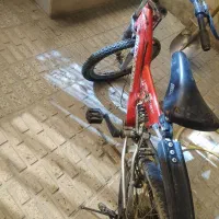 فروش دچرخه دو تا با هم|دوچرخه، اسکیت، اسکوتر|ملایر, |دیوار