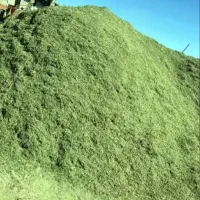 یونجه.درجه ۱