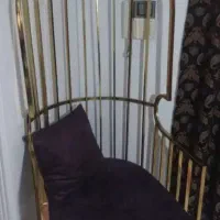 شاه نشین نو