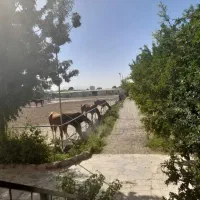 جموعه سوارکاری و کافه رستوران