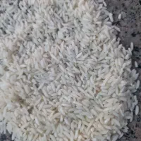 برنج طارم درجه ۱