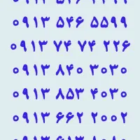۰۹۱۳.۰۶۰.۷۸۴۸