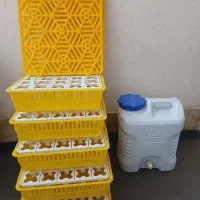 دستگاه جوجه کشی|لوازم جانبی حیوانات|مشهد, سیلو|دیوار