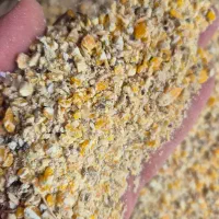 خوراک و مکمل دام و طیور|لوازم جانبی حیوانات|زارچ, |دیوار