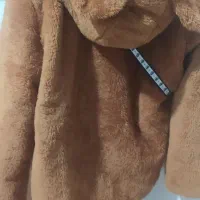 کاپشن تدی|لباس|فولادشهر, A6|دیوار