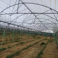 فروش 2150 متر سازه گلخانه پیچ و مهره ای