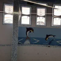 استخر سازان ایران و تهران