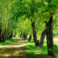 فروش باغچه850متری دور دیوار سپیدان روستای،سربست