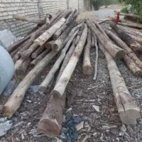 خرید چوب|خدمات باغبانی و درختکاری|نجفآباد, گلدشت|دیوار