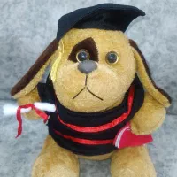 عروسک|اسباب‌بازی بچه|پرند, فاز ۶|دیوار